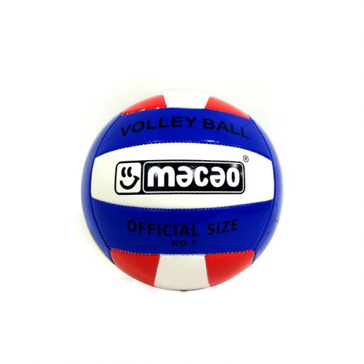 Balón de Volleyball
